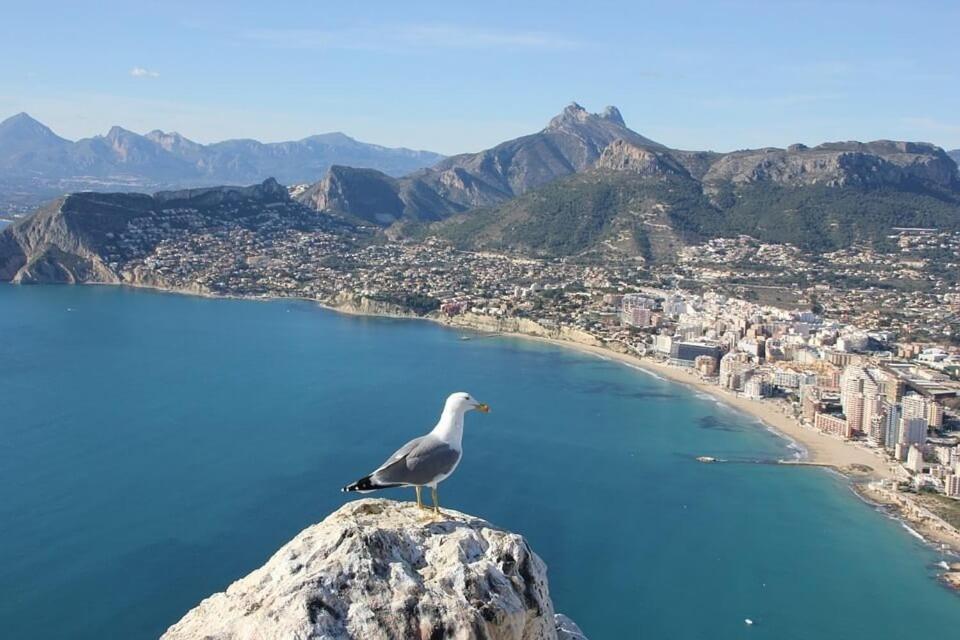Calalga - Plusholidays Calp